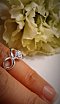 ANILLO CIRCONIA